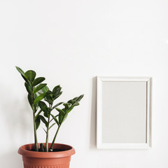 Mock up Photo Frame on white wall and potted plant Zamioculcas