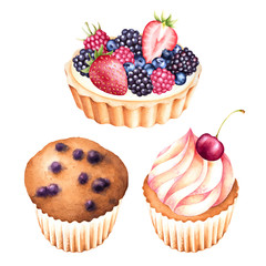 Isolated hand drawn blueberry muffin, berry tart and cupcake. Watercolor illustration of baked  desserts.