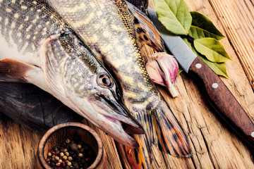 Fish pike on the kitchen board