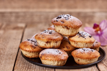 Cupcakes with chocolate chips with powdered sugar lie in a black baking sheet next to the orchid flower on a wooden background.