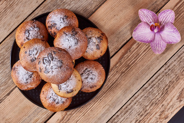 Cupcakes with chocolate chips with powdered sugar lie in a black baking sheet next to the orchid flower on a wooden background.