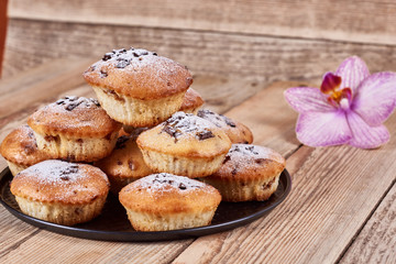 Cupcakes with chocolate chips with powdered sugar lie in a black baking sheet next to the orchid flower on a wooden background.