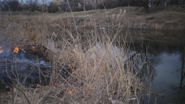 The fire consumes the dry grass on the river Bank.