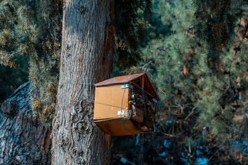 A small birdhouse constructed by humans in the tree,a place for birds to give birth in the forest