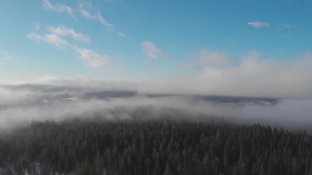 Fog covered forest from above. In Trysil, Noway