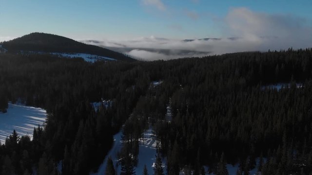 Panning out into snow covered and foggy forrest. in Trysil, Norway