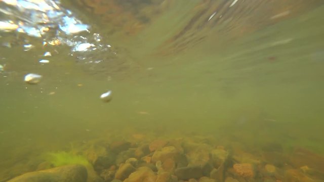 underwater shooting in the fast river, air bubbles, turbulence