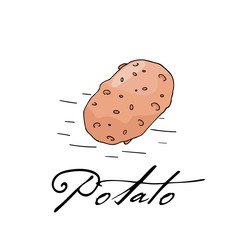Poster with hand drawn potato isolate on a white background.