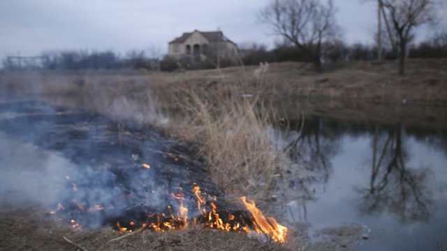 Natural disaster, fire destroying cane grass and bush at riverbank in marsh