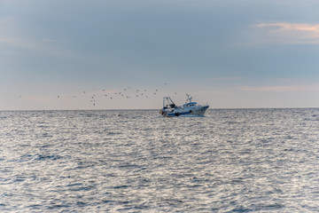 Fishing Boat Returning to Port with Seagulls at Sunset on the Soutnern Mediterranean Italian Coast