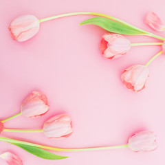 Obraz premium White flowers and petals on pink background. Female blogger concept. Flat lay
