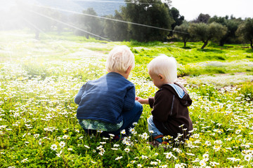 Two Children, Brothers, Sitting In A Daisy Flower Meadow