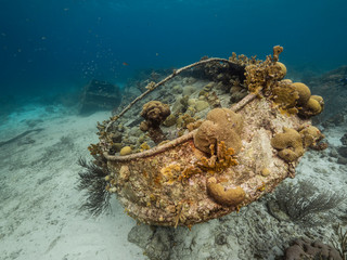 Ship wreck 