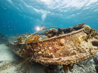 Ship wreck 