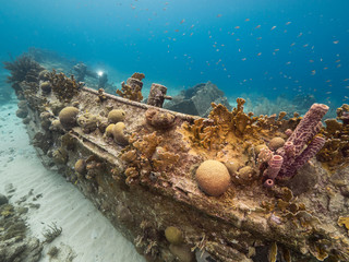 Ship wreck 