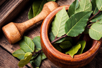 Aromatic bay leaves