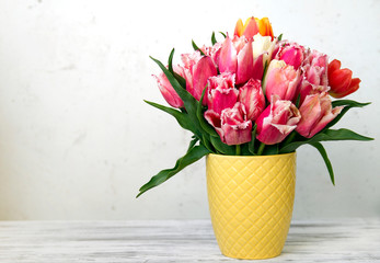 pink tulips in a yellow mug on a concrete white background