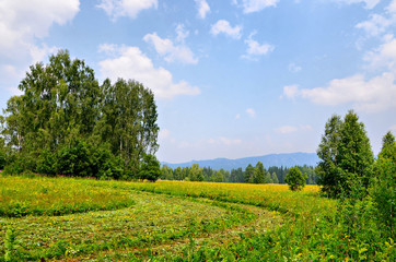 Summer in the Ural mountains is a short but wonderful time.