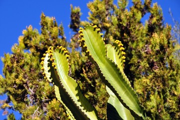 Unterwegs auf Mallorca