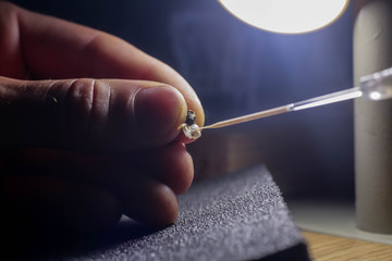 A beekeeper is holding a drone and collecting sperm. Artificial insemination of honey bees...