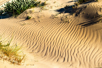 beautiful waves and shadows in the sand found in Bolonia, Spain