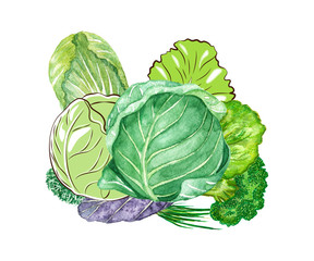 Naklejka premium raster vivid illustration of different cabbage images in different styles.