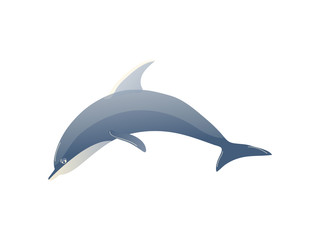 Cartoon dolphin on white background. Water life.