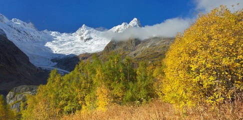 Obraz premium Morning in autumn