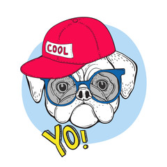 Dog pug in blue sunglasses and a red cap with the inscription cool. And the slogan YO. Vector illustration for t-shirt design.