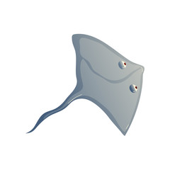 Cramp fish on white background. Water life.