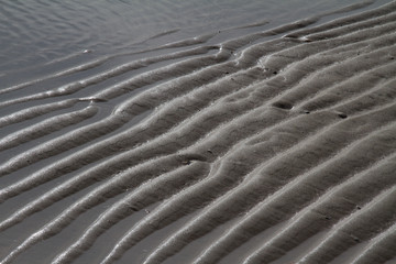 traces in the sand on a beach formed by waves