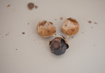 Fototapeta na wymiar Traditional food black garlic