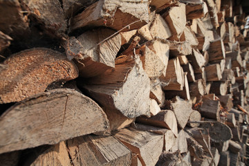 Brennholz Natur