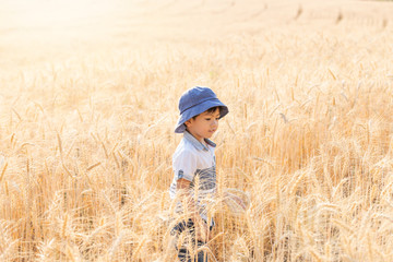 Asian Boy having fun and playing in a wheat field on summer.