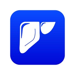 Liver icon blue vector isolated on white background