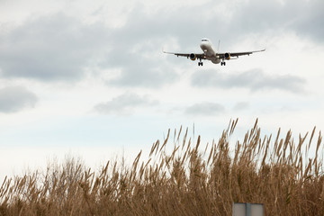 modern passenger plane lands at airport