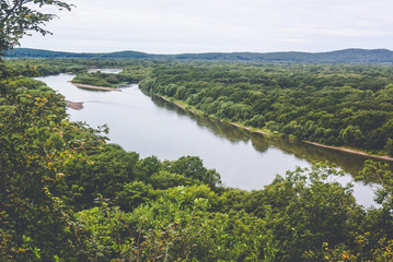 Lake in the forest in summer, trees and grass