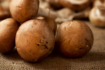 Mushrooms close up