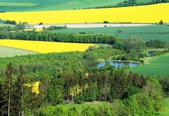 Obraz premium Two ponds and fields with flowering rape. Moravia. Europe.