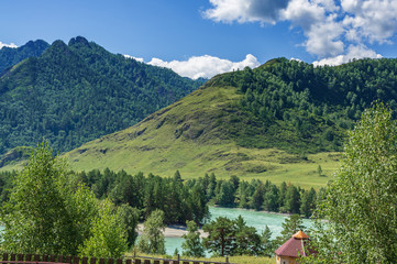 Fototapeta na wymiar Katun river in Altai flows between the mountains covered with greenery