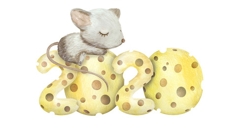 Cute watercolor rat isolated on white background. Mouse symbol 2020 new year