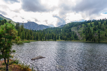 beautiful summer landscape in the Altai mountains overlooking the lake