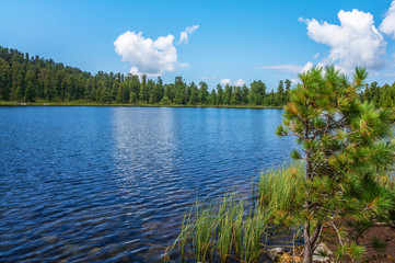 lake with blue water and green trees on the shore in summer
