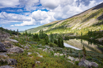 beautiful summer landscape in the Altai mountains overlooking the lake
