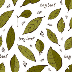 Bay leaves seamless background, herbs pattern with text