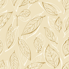 Bay leaves seamless pattern, herbs illustration on beige background