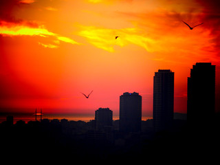 Sunset in the city