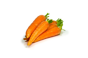 Carrot without Leafs