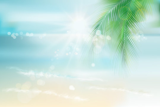 View of the sunny beach with a palm tree. Blue Lagoon. Vector Illustration.