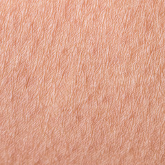 square cosmetological textured background from pink healthy skin and the human body close-up, covered with small ants and small wrinkles